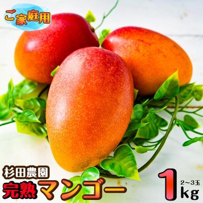 ふるさと納税 西都市 杉田農園完熟マンゴー1kg(2〜3玉)訳ありご家庭用完熟マンゴー[先行受付][2893]