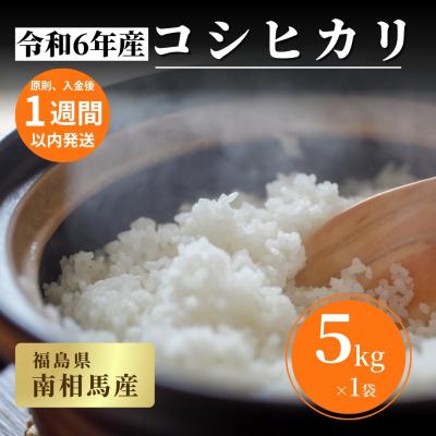 ふるさと納税 南相馬市 [令和6年産]福島県産コシヒカリ 白米 5kg×1袋 精米 南相馬産[153484-001-01]