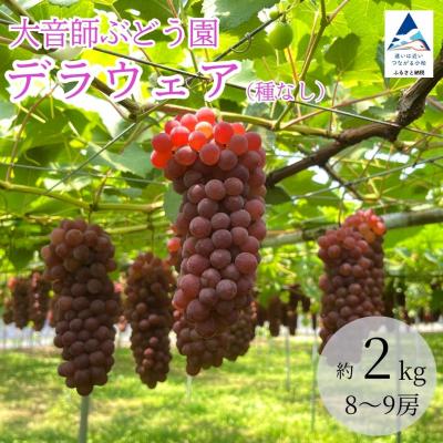 ふるさと納税 小松市 [先行予約] 種なしぶどう デラウェア 2kg(8〜9房) 小松市産ブドウ 大音師ぶどう園