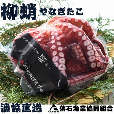 ふるさと納税 根室市 [北海道根室産]柳蛸ボイル8杯(計8.5kg)