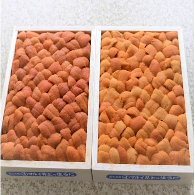 ふるさと納税 根室市 エゾバフンウニバラ詰め(赤系)約250g×1折[11月上旬以降発送] C-71028 |  | 01