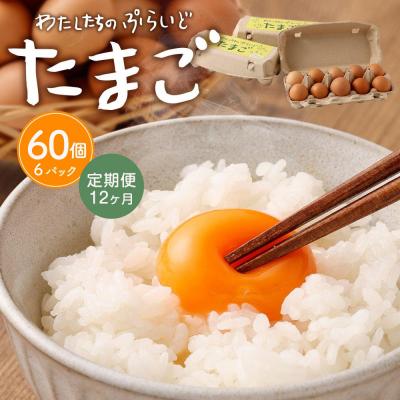 ふるさと納税 川崎市 [定期便:12か月]単なる平飼いではない『わたしたちのぷらいどたまご』6パック(60個)セット