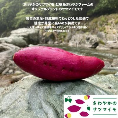 ふるさと納税 鳴門市 【先行受付中・2026年10月頃より順次発送】さわやかのサツマイモ 大きいサイズ 9kgの画像