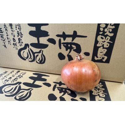 ふるさと納税 南あわじ市 淡路島玉葱　10kg　◆配送5月中旬〜翌年2月末頃 |  | 02