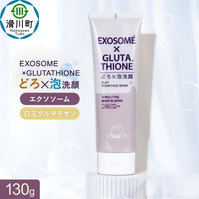 ふるさと納税 滑川町 エクソソーム グルタチオン クレイ 洗顔 フォーム|19_tnp-020101