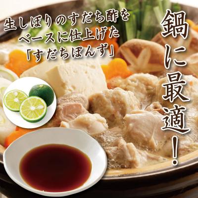 ふるさと納税 小松島市 すだちポン酢 2本 ポン酢 柑橘 すだち ぽんず
