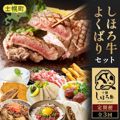 ふるさと納税 士幌町 &lt;全3回&gt; 道の駅定期便 ピア21しほろ しほろ牛よくばりセット [L903]