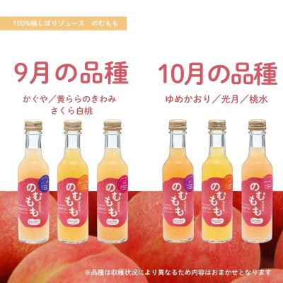 ふるさと納税 福島市 菱沼農園「のむもも」桃100%ジュース 200ml×6本No