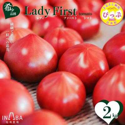 ふるさと納税 比布町 レディーファーストトマト 2kg[稲場農場]