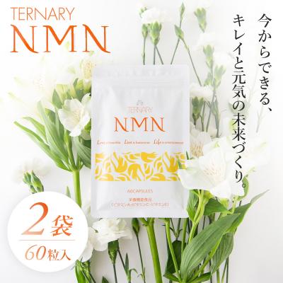 ふるさと納税 伊豆市 ターナリーNMN(60粒入パウチ)×2袋