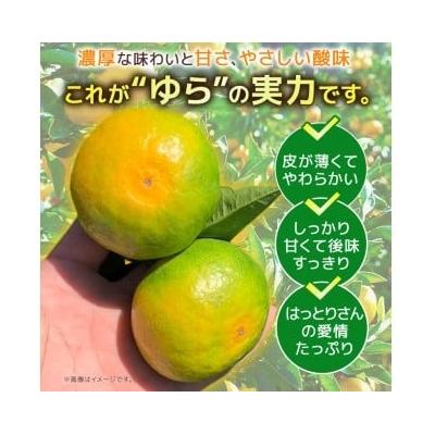 ふるさと納税 安田町 服部農園 ゆら早生みかん 2.5kg(2Sサイズ)