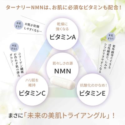 ふるさと納税 伊豆市 ターナリーNMN(60粒入パウチ)×8袋の画像
