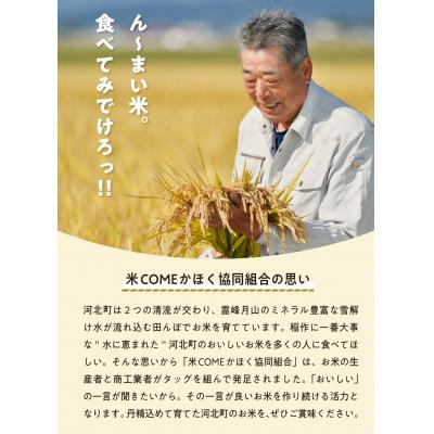 ふるさと納税 河北町 【令和7年産米】2026年5月下旬発送 はえぬき20kg(5kg×4袋) 山形県産_1