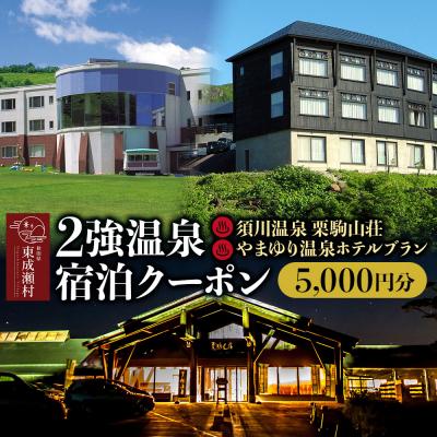 ふるさと納税 東成瀬村 2強温泉宿泊クーポン 5000円分 [栗駒山荘][やまゆり温泉]|07_akr-040301