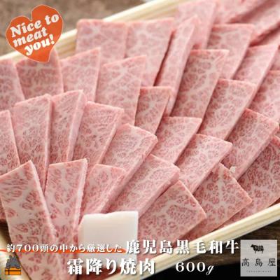ふるさと納税 徳之島町 毎回約700頭から厳選された 鹿児島黒毛和牛 霜降り焼肉 600g