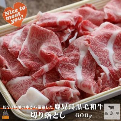 ふるさと納税 徳之島町 毎回約700頭から厳選された 鹿児島黒毛和牛 切り落とし 600g