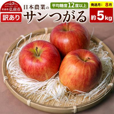 ふるさと納税 弘前市 [26年8月クール便発送]りんご サンつがる 約5kg[訳あり]|24_nng-010501ac