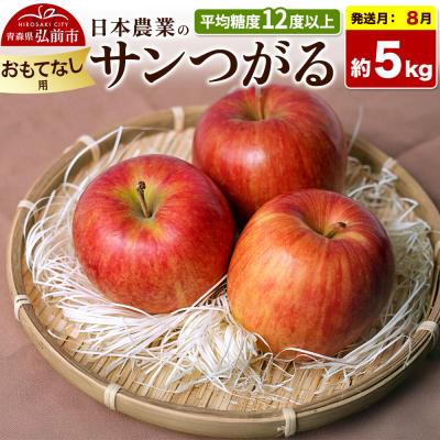 ふるさと納税 弘前市 [26年8月クール便発送]りんご サンつがる 約5kg おもてなし用|24_nng-010501bc