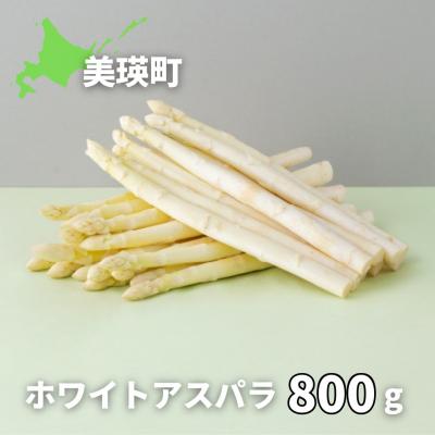 ふるさと納税 美瑛町 ホワイトアスパラガス 800g[令和8年産先行受付]