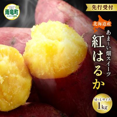 ふるさと納税 雨竜町 [数量限定]なまら甘い!北海道雨竜町産 さつまいも 「紅はるか」 M-Lサイズ 1kg