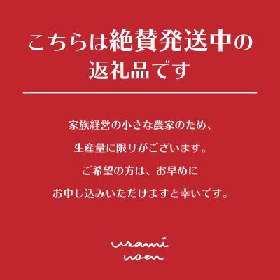 ふるさと納税 壮瞥町 極旨トマトクール便 壮瞥町産　ラビットゴッホ1kg　中玉トマト SBTAJ001 |  | 02