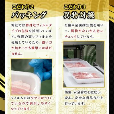 ふるさと納税 いちき串木野市 鹿児島県産豚肉 さつま香潤豚しゃぶしゃぶセット 1.5kg(ロース肩ロースばら各250g×2P) |  | 03