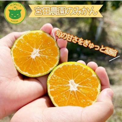 ふるさと納税 小松島市 【2026年10月発送】 みかん 秀品 極早生みかん 5kg 蜜柑 ミカン 柑橘 旬 フルーツ 果実 |  | 02