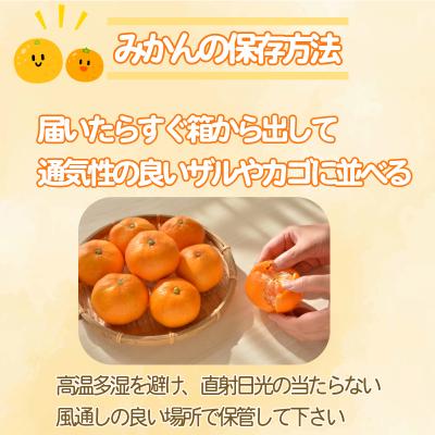 ふるさと納税 小松島市 【2026年10月発送】 みかん 秀品 極早生みかん 5kg 蜜柑 ミカン 柑橘 旬 フルーツ 果実 |  | 03