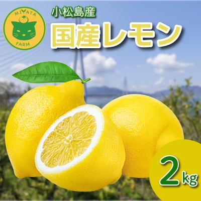 ふるさと納税 小松島市 レモン 2kg 秀品 2025年10月順次発送 国産 レモン れもん ワックス不使用 防腐剤不使用
