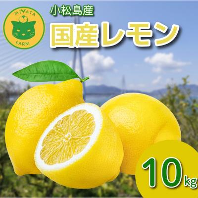 ふるさと納税 小松島市 レモン 10kg 秀品 2025年10月順次発送 国産 レモン れもん ワックス不使用 防腐剤使用