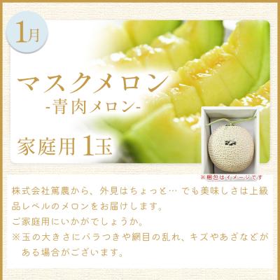 ふるさと納税 香南市 [4回定期便]メロン堪能定期便 Wtn-0042