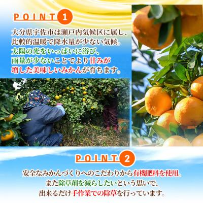 ふるさと納税 宇佐市 温州みかん 5kg 11月上旬発送【103610100】【井上農園】 |  | 01