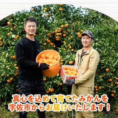 ふるさと納税 宇佐市 温州みかん 5kg 11月上旬発送【103610100】【井上農園】 |  | 02
