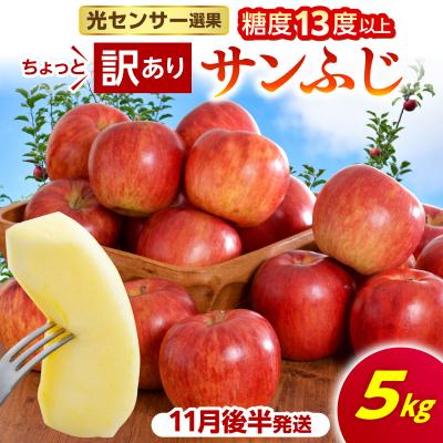 ふるさと納税 五所川原市 [先行受付][2026年11月後半発送][ちょっと訳あり]サンふじ5kg
