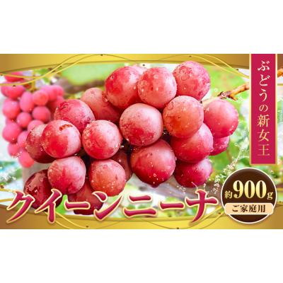 ふるさと納税 東員町 ぶどう[先行予約]クイーンニーナ 約900g 株式会社シグマサポート