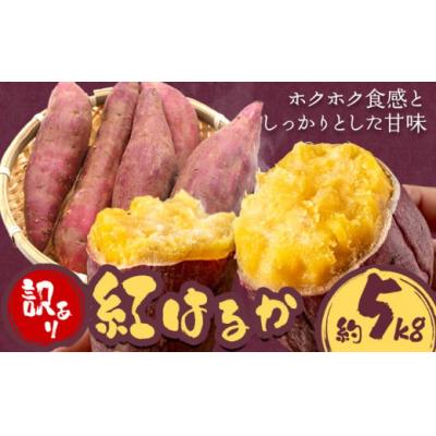 ふるさと納税 東員町 訳あり さつまいも 紅はるか 約5kg 株式会社シグマサポート[10月中旬-12月中旬頃に出荷予定]