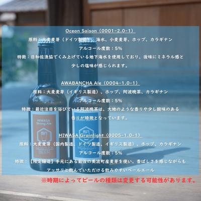 ふるさと納税 美波町 クラフトビール×漁師飯 沖漬け 至高の晩酌セット クラフトビール 沖漬け 晩酌セット ギフト