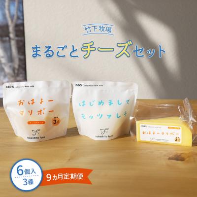 ふるさと納税 中標津町 竹下牧場 [定期便9ヶ月]まるごとチーズセット 計560g[24024]