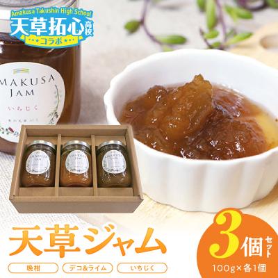 ふるさと納税 天草市 天草ジャムセット