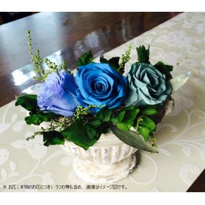 ふるさと納税 八尾市 プリザーブドフラワー リラックス(気持ちが静まり