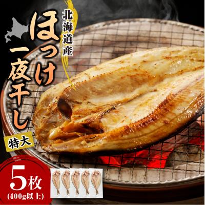 ふるさと納税 えりも町 えりも[マルデン特製]特大・北海道産塩ホッケ5枚(400g以上)[er002-103]
