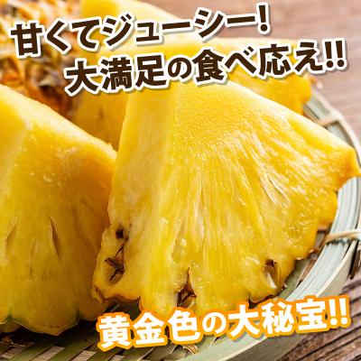 ふるさと納税 石垣市 【先行予約】黄金の芳醇 ゴールドバレル 1玉 約1.7kg <2027年7月以降順次発送> |  | 01