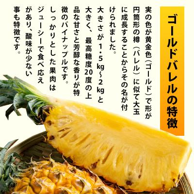 ふるさと納税 石垣市 【先行予約】黄金の芳醇 ゴールドバレル 1玉 約1.7kg <2027年7月以降順次発送> |  | 02