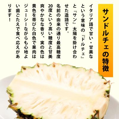 ふるさと納税 石垣市 【先行予約】南風香 サンドルチェ 2玉 約1.7kg <2027年6月以降順次発送予定> |  | 02