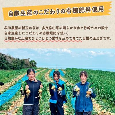 ふるさと納税 太良町 佐賀県太良町産〜牟田農園の春の新玉ねぎ [M〜2L]10kgの画像