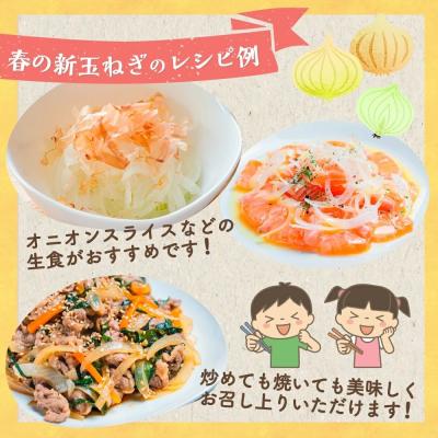 ふるさと納税 太良町 佐賀県太良町産〜牟田農園の春の新玉ねぎ [M〜2L]10kgの画像