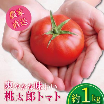 ふるさと納税 小松島市 [2026年4月発送] トマト 1kg 桃太郎 先行予約 甘い 野菜 やさい 国産 産地直送
