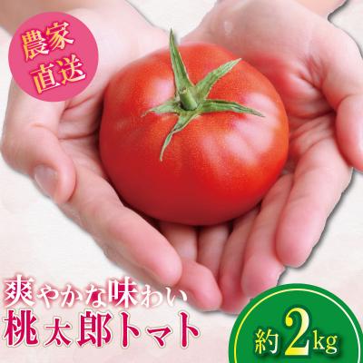 ふるさと納税 小松島市 【2027年1月発送】 トマト 2kg 桃太郎 先行予約  甘い 野菜 やさい 国産 産地直送 | 