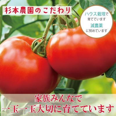 ふるさと納税 小松島市 【2027年1月発送】 トマト 2kg 桃太郎 先行予約  甘い 野菜 やさい 国産 産地直送 |  | 01