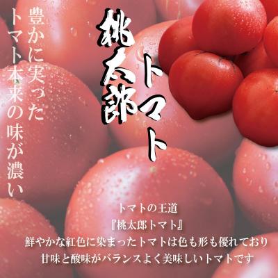 ふるさと納税 小松島市 【2027年1月発送】 トマト 2kg 桃太郎 先行予約  甘い 野菜 やさい 国産 産地直送 |  | 02